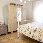 M&c Vicolo Corto Sulmona