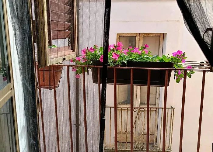 M&c Vicolo Corto * Sulmona